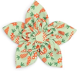 The Worthy Dog Crazy Carrots Flower Dog Collar Accessory, Large