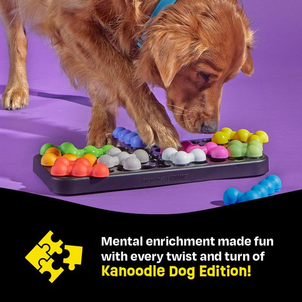 Brightkins Kanoodle Puzzle Dog Toy
