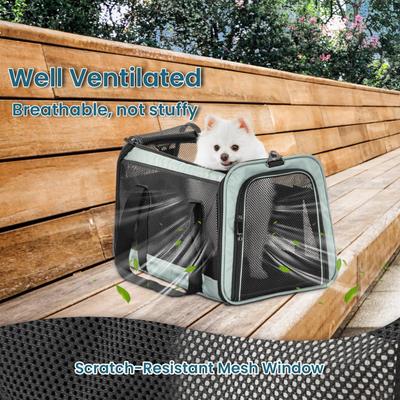Show full view: Petsfit Airline Approved Dog & Cat Carrier, Cyan-blue, 19 x 12 x 12 inches slide 8 of 9