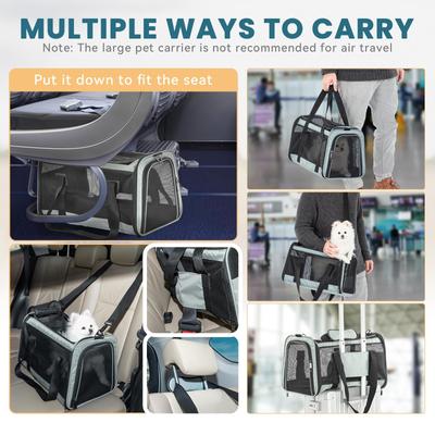 Show full view: Petsfit Airline Approved Dog & Cat Carrier, Cyan-blue, 19 x 12 x 12 inches slide 7 of 9