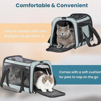 Show full view: Petsfit Airline Approved Dog & Cat Carrier, Cyan-blue, 19 x 12 x 12 inches slide 4 of 9