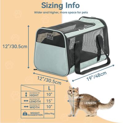 Show full view: Petsfit Airline Approved Dog & Cat Carrier, Cyan-blue, 19 x 12 x 12 inches slide 2 of 9