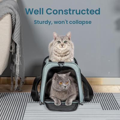 Show full view: Petsfit Airline Approved Dog & Cat Carrier, Cyan-blue, 19 x 12 x 12 inches slide 3 of 9