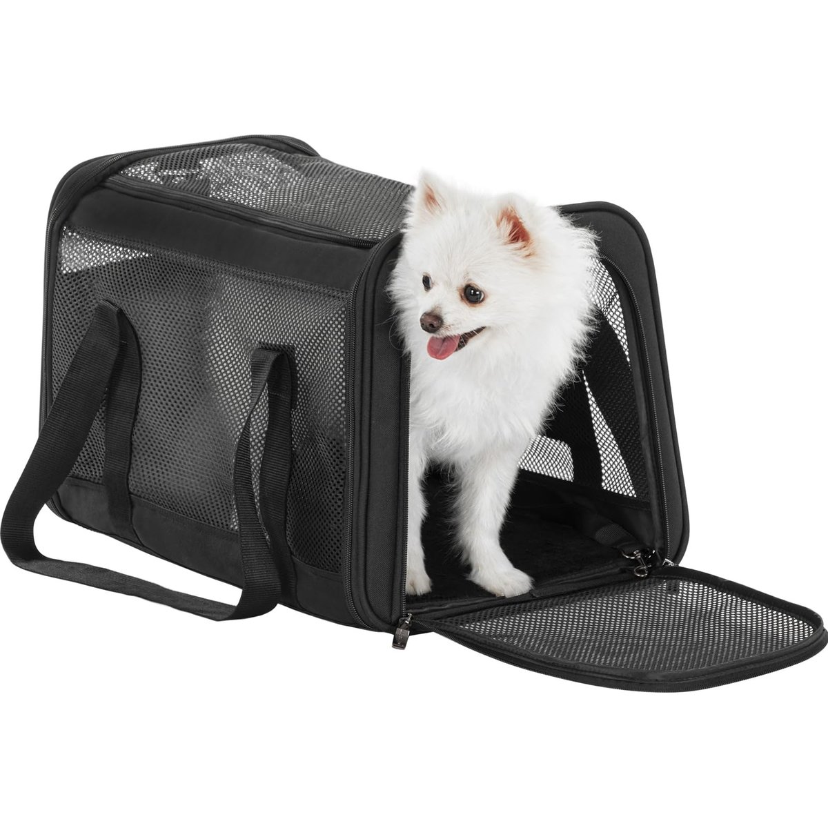 Petsfit Airline Approved Dog & Cat Carrier, Black, 19 x 12 x 12 inches