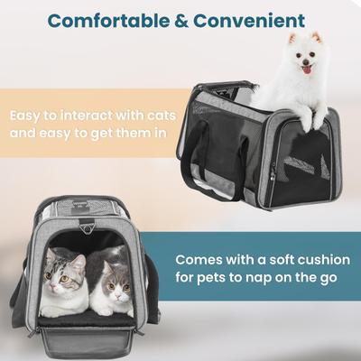 Show full view: Petsfit Airline Approved Dog & Cat Carrier, Gray, 19 x 12 x 12 inches slide 4 of 10