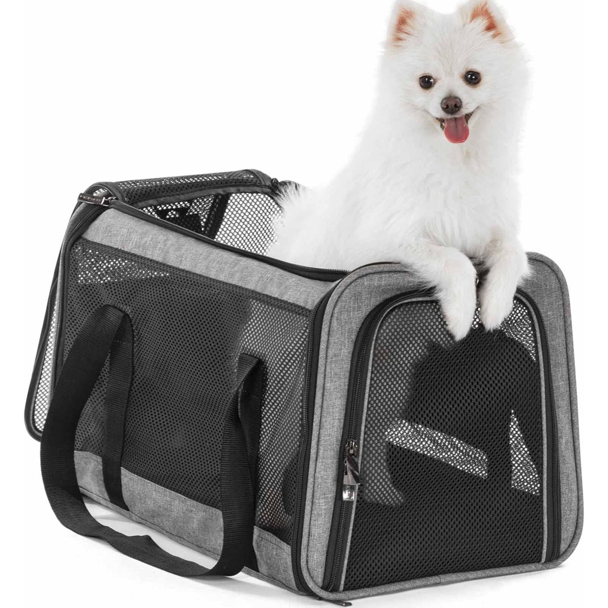 Petsfit Airline Approved Dog & Cat Carrier, Gray, 19 x 12 x 12 inches