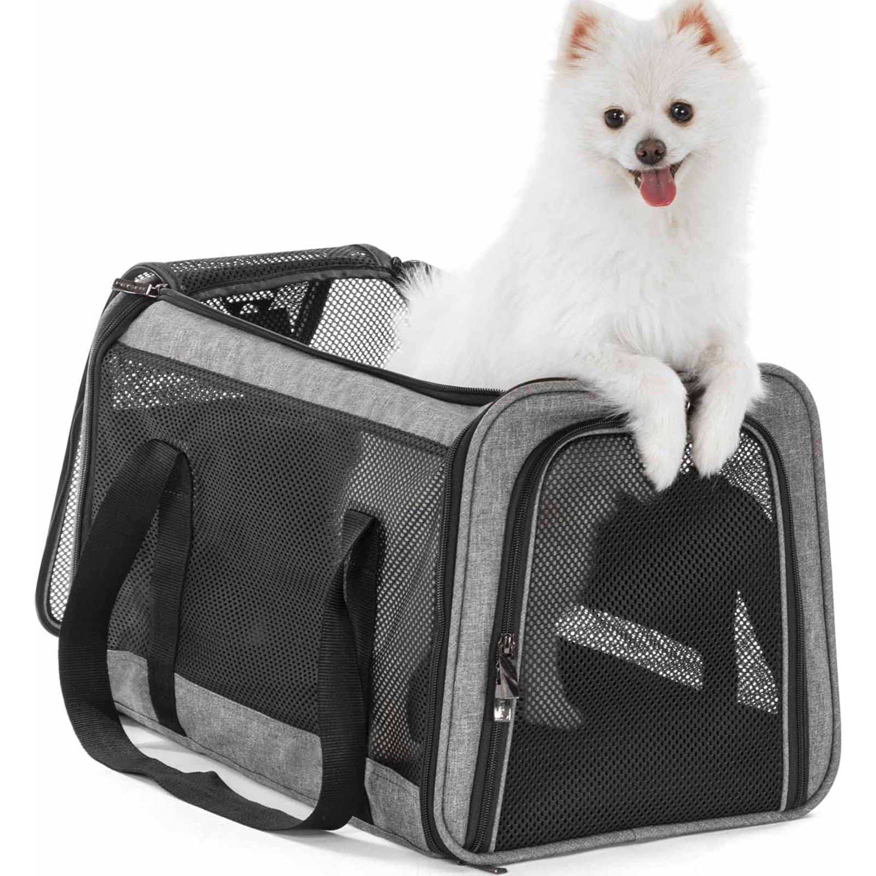 Petsfit Petsfit Airline Approved Dog & Cat Carrier, Gray, 19 x 12 x 12 inches