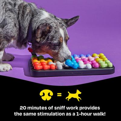 Show full view: Brightkins Kanoodle Puzzle Dog Toy, Large slide 5 of 7