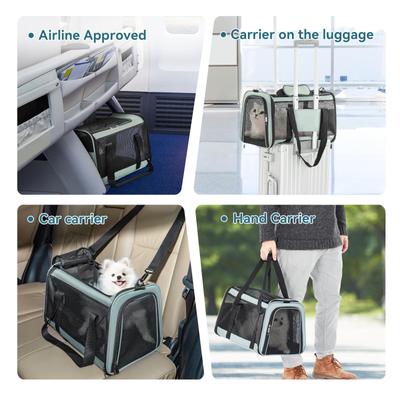 Show full view: Petsfit Airline Approved Dog & Cat Carrier, Cyan-blue, 18 x 11 x 11 inches slide 3 of 9