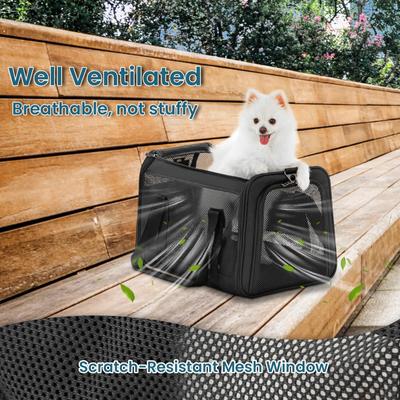 Show full view: Petsfit Airline Approved Dog & Cat Carrier, Black, 19 x 12 x 12 inches slide 6 of 10