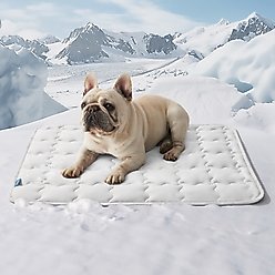Bedsure Thin Cooling Dog Crate Mat, Grey, Medium