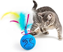 allforpaws Modern Cat Dizzy Spinner Cat Toy, Blue