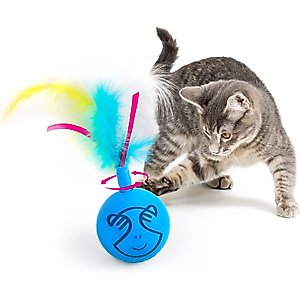 allforpaws Modern Cat Dizzy Spinner Cat Toy, Blue