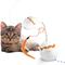 Show in main carousel: allforpaws Modern Cat Dino Egg Spinner Cat Toy, White/Orange slide 7 of 10