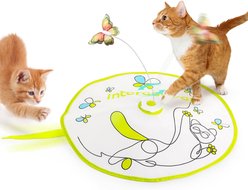 allforpaws Interactives Flutter Bug with Hide-N-Seek Cat Toy