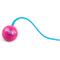 Show in main carousel: allforpaws Modern Cat Whirling Tail Cat Toy, Rose Red slide 9 of 10