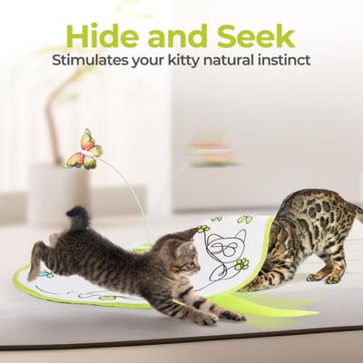 Show full view: allforpaws Interactives Flutter Bug with Hide-N-Seek Cat Toy slide 4 of 11