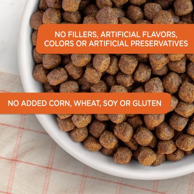 Show full view: Nutrish Limited Ingredient Lamb Meal & Brown Rice Recipe Dry Dog Food, 6-lb bag (Rachael Ray) slide 5 of 13