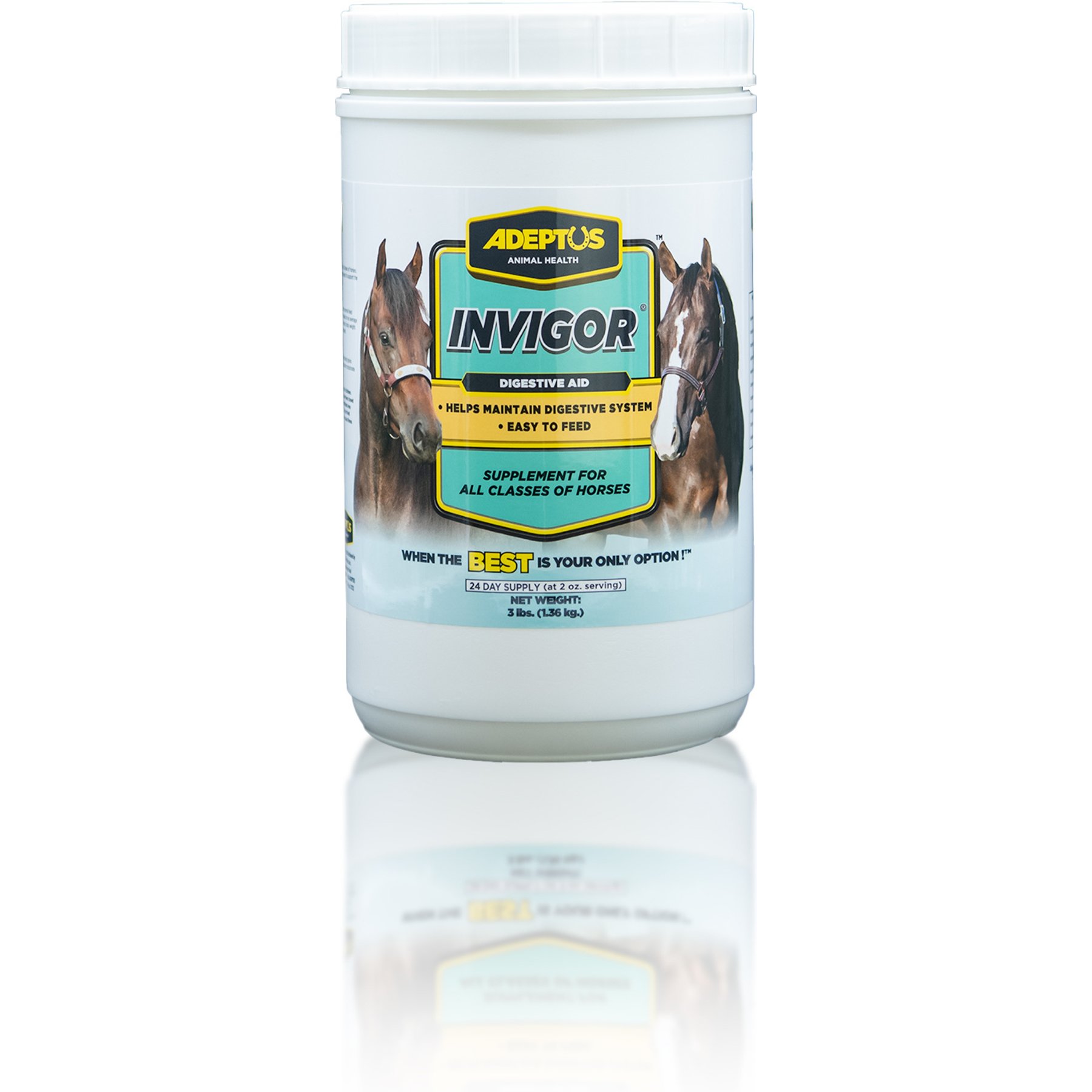 Adeptus Invigor Prebiotic Digestion Formula Powder Horse Supplement, 3-lb tub