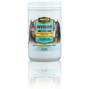 Adeptus Invigor Prebiotic Digestion Formula Powder Horse Supplement, 3-lb tub