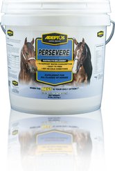 Adeptus Persevere Electrolytes Horse Supplement, 10-lbs tub