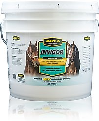 Adeptus Invigor Prebiotic Digestion Formula Powder Horse Supplement, 20-lb tub