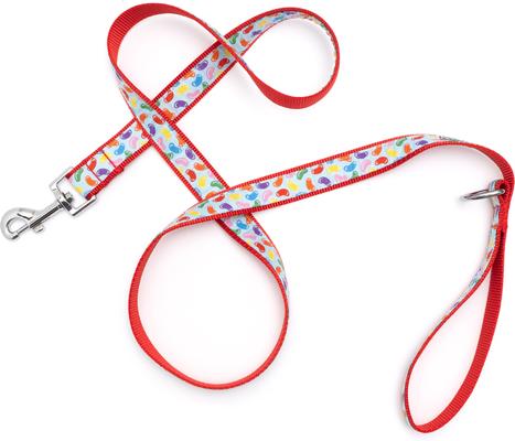 Show full view: The Worthy Dog Jelly Beans Dog Lead, Blue, Small: 5-ft long, 5/8-in wide slide 4 of 4