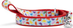 The Worthy Dog Jelly Beans Dog Lead, Blue, Large: 5-ft long, 1-in wide