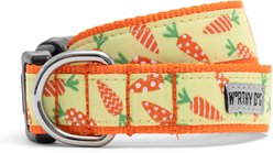 The Worthy Dog Crazy Carrots Dog Collar, Green, Medium: 11 to 17-in neck, 1-in wide