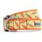 Show in main carousel: The Worthy Dog Crazy Carrots Dog Collar, Green, Small: 8 to 14-in neck, 5/8-in wide slide 1 of 3