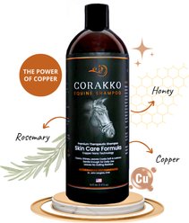 Curry on a Stik Corakko Horse Shampoo, 16-fl oz bottle slide 1 of 6