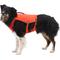 Show in main carousel: Ruffwear Confluence Dog Life Jacket, Tangelo Orange, Small slide 3 of 7
