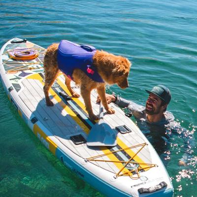 Show full view: Ruffwear Float Coat Dog Life Jacket, Purple Lily, Large slide 5 of 8