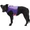 Show in main carousel: Ruffwear Float Coat Dog Life Jacket, Purple Lily, Large slide 3 of 8