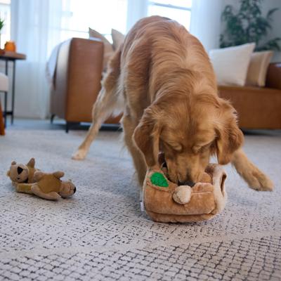Show full view: Outward Hound Hide-A-Squirrel Interactive Squeaky Puzzle Plush Dog Toy, Large slide 6 of 11