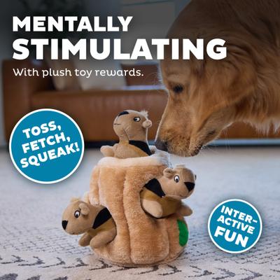 Show full view: Outward Hound Hide-A-Squirrel Interactive Squeaky Puzzle Plush Dog Toy, Large slide 4 of 11