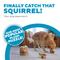 Show in main carousel: Outward Hound Hide-A-Squirrel Interactive Squeaky Puzzle Plush Dog Toy, Large slide 2 of 11