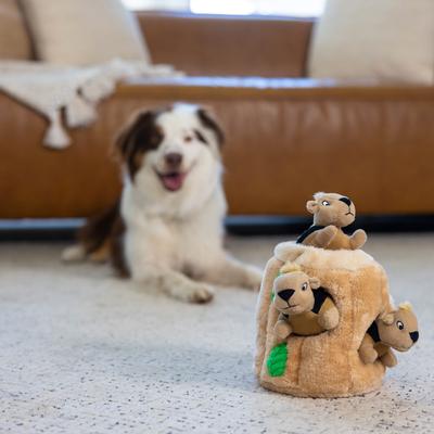 Show full view: Outward Hound Hide-A-Squirrel Interactive Squeaky Puzzle Plush Dog Toy, Medium slide 7 of 12