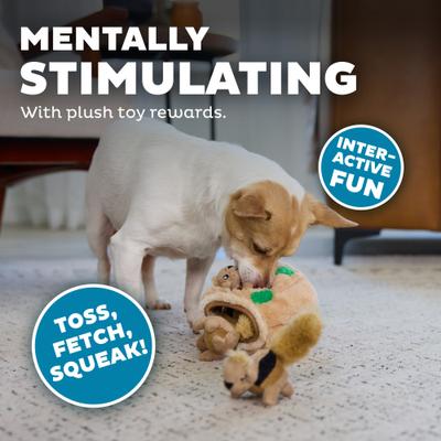 Show full view: Outward Hound Hide-A-Squirrel Interactive Squeaky Puzzle Plush Dog Toy, Small slide 5 of 12
