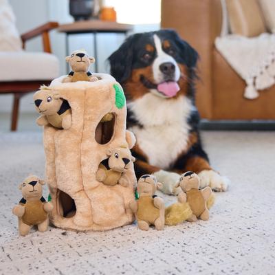 Show full view: Outward Hound Hide-A-Squirrel Interactive Squeaky Puzzle Plush Dog Toy, X-Large slide 6 of 11