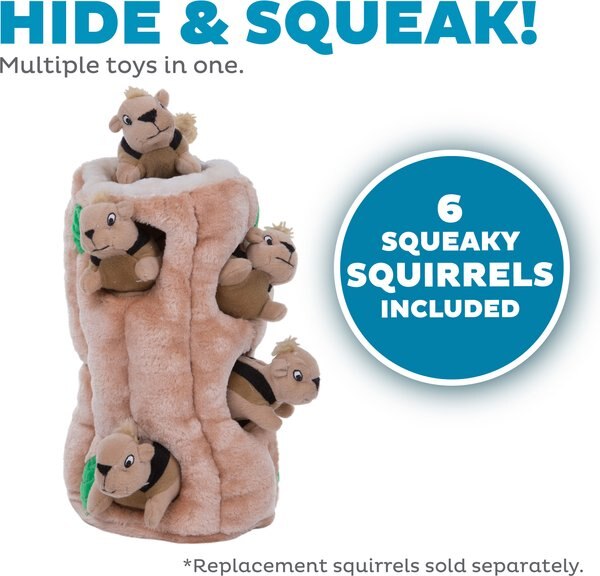 Outward Hound Squeakin' Racoon Hide A Puzzle Plush Dog Toy, 3 count