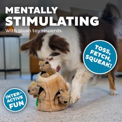 Outward Hound Hide-A-Squirrel Interactive Squeaky Puzzle Plush Dog Toy, Medium slide 2 of 7