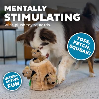 Show full view: Outward Hound Hide-A-Squirrel Interactive Squeaky Puzzle Plush Dog Toy, Medium slide 5 of 12
