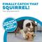 Show in main carousel: Outward Hound Hide-A-Squirrel Interactive Squeaky Puzzle Plush Dog Toy, Medium slide 3 of 12