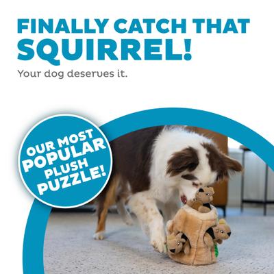 Show full view: Outward Hound Hide-A-Squirrel Interactive Squeaky Puzzle Plush Dog Toy, Medium slide 3 of 12