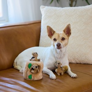 Outward Hound Hide-A-Squirrel Interactive Squeaky Puzzle Plush Dog Toy, Small