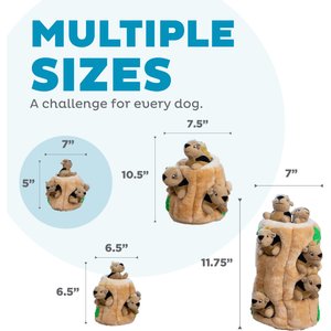 Outward Hound Hide-A-Squirrel Interactive Squeaky Puzzle Plush Dog Toy, Small