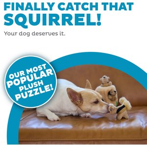 Outward Hound Hide-A-Squirrel Interactive Squeaky Puzzle Plush Dog Toy, Small