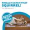 Show in main carousel: Outward Hound Hide-A-Squirrel Interactive Squeaky Puzzle Plush Dog Toy, Small slide 3 of 12
