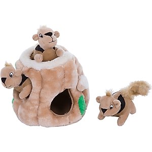 Outward Hound Hide-A-Squirrel Interactive Squeaky Puzzle Plush Dog Toy, Small